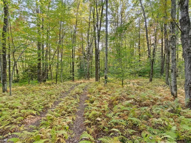 $1,795,000 | 242 Meadow Brook Drive, Starksboro, VT 05487