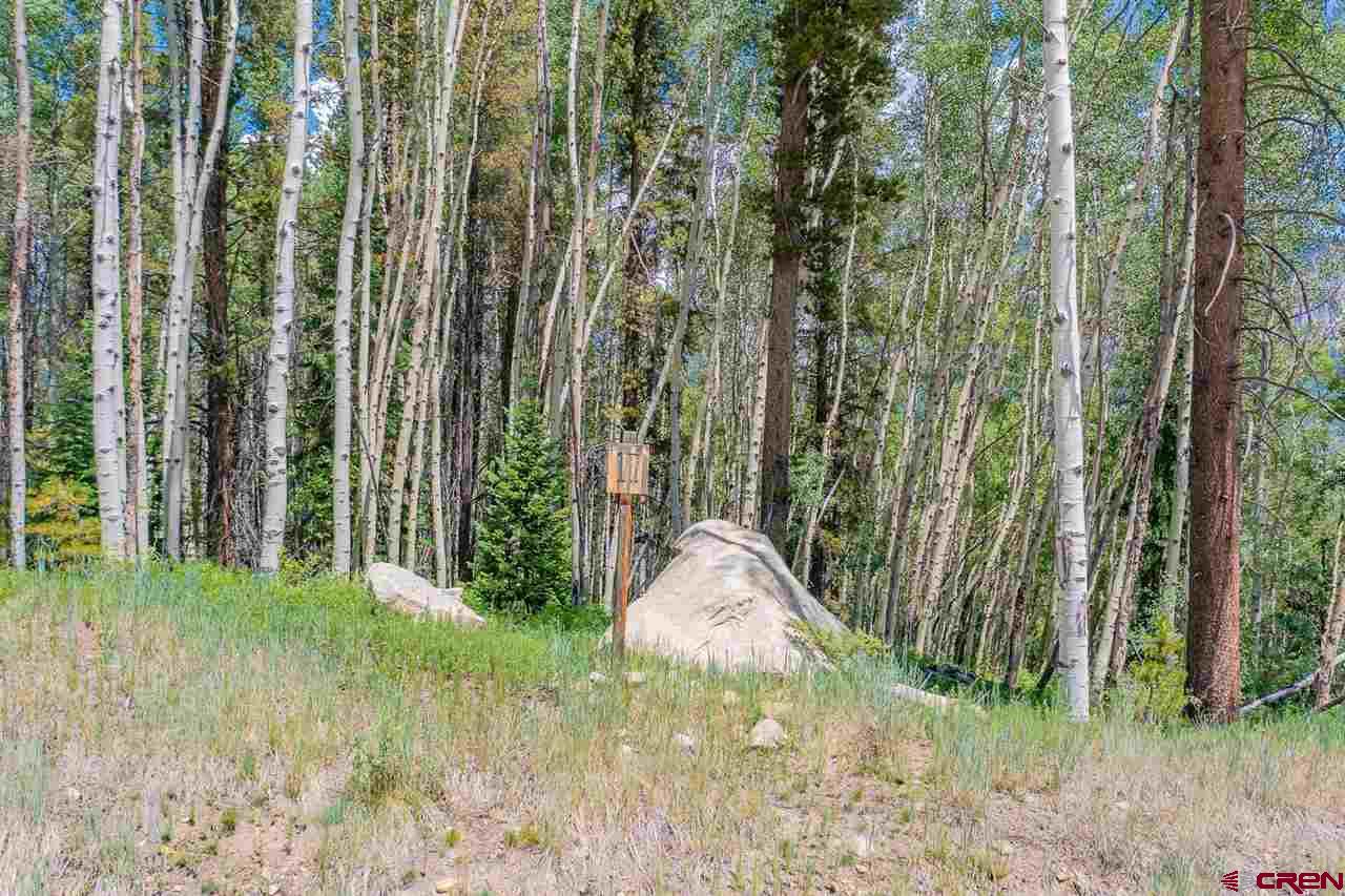 811 Hidden Mine Road Crested Butte, CO 81224 - Photo 4 of 23