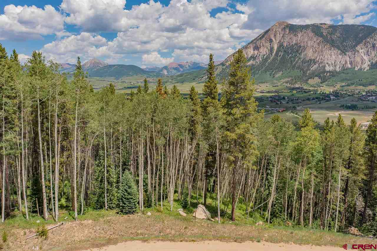 811 Hidden Mine Road Crested Butte, CO 81224 - Photo 5 of 23