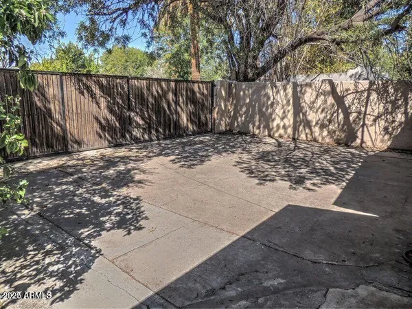 a view of a backyard with trees and wooden fence