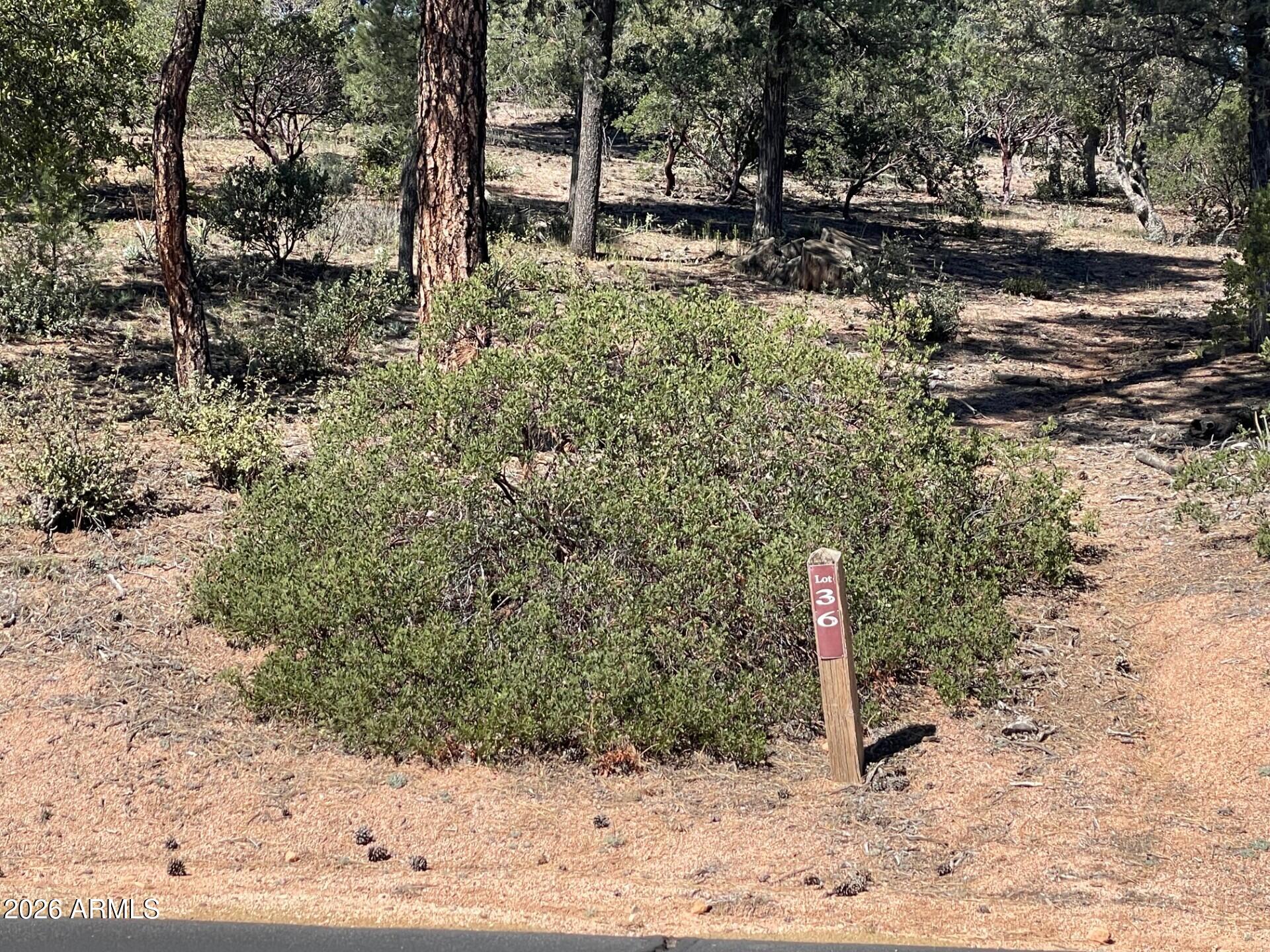 210 South Rim Club Drive, Unit 36 Payson, AZ 85541 - Photo 23 of 23 94