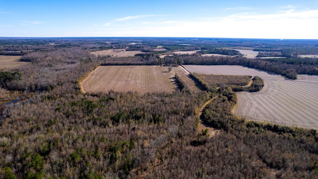 3700 Britton Road Sumter, SC 29153 - Photo 21 of 26