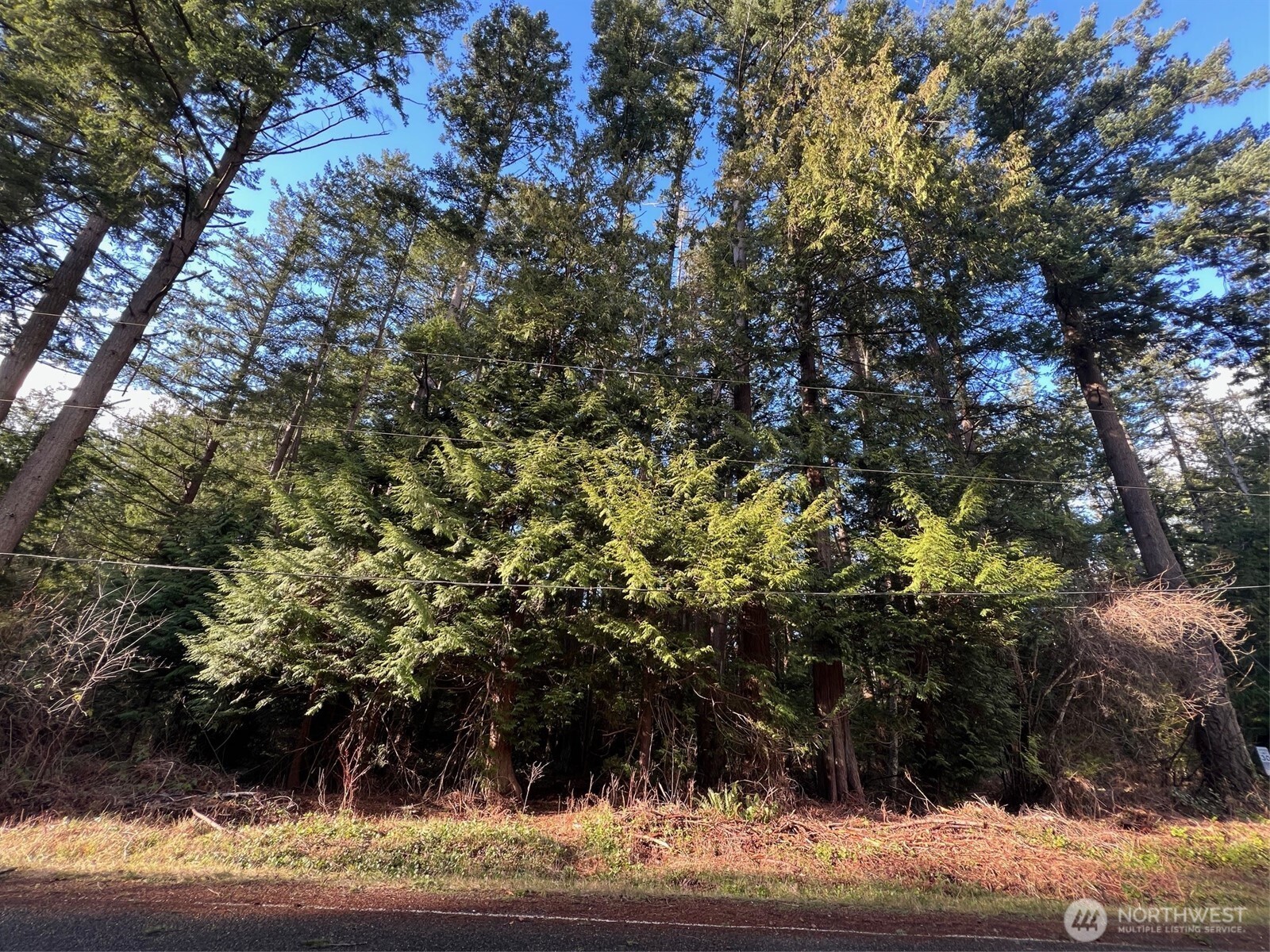 1 Mill Road Point Roberts, WA 98281 - Photo 1 of 6