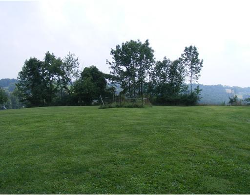 1475 Amity Ridge Road Washington, PA 15301 - Photo 10 of 12 View.