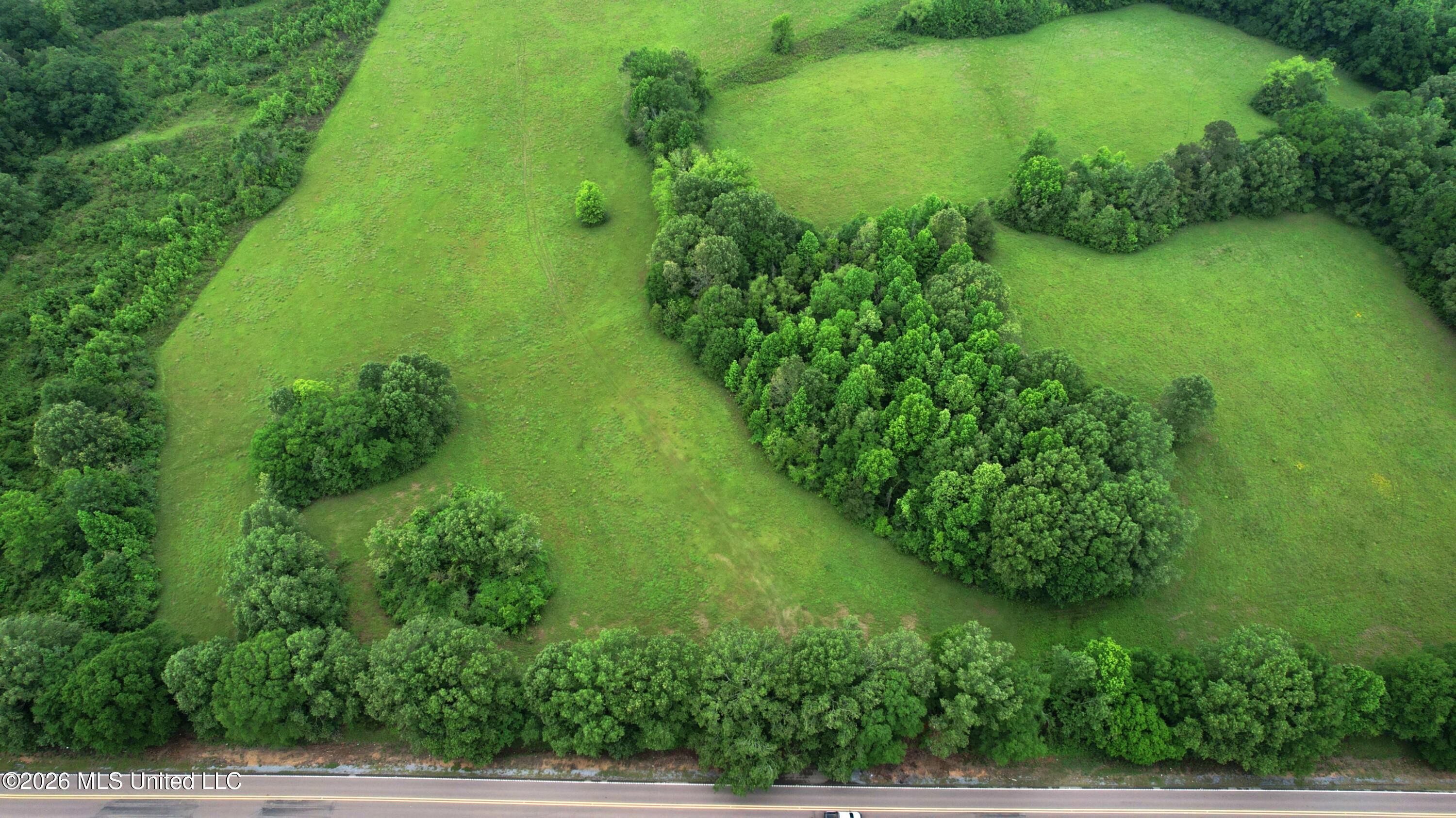 0 Tom Collins Road Utica, MS 39175 - Photo 5 of 14 DJI_0248