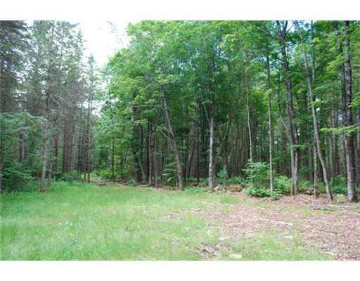 Lot 3 Moose Run Road Wellington, ME 04942 - Photo 6 of 8 Land.