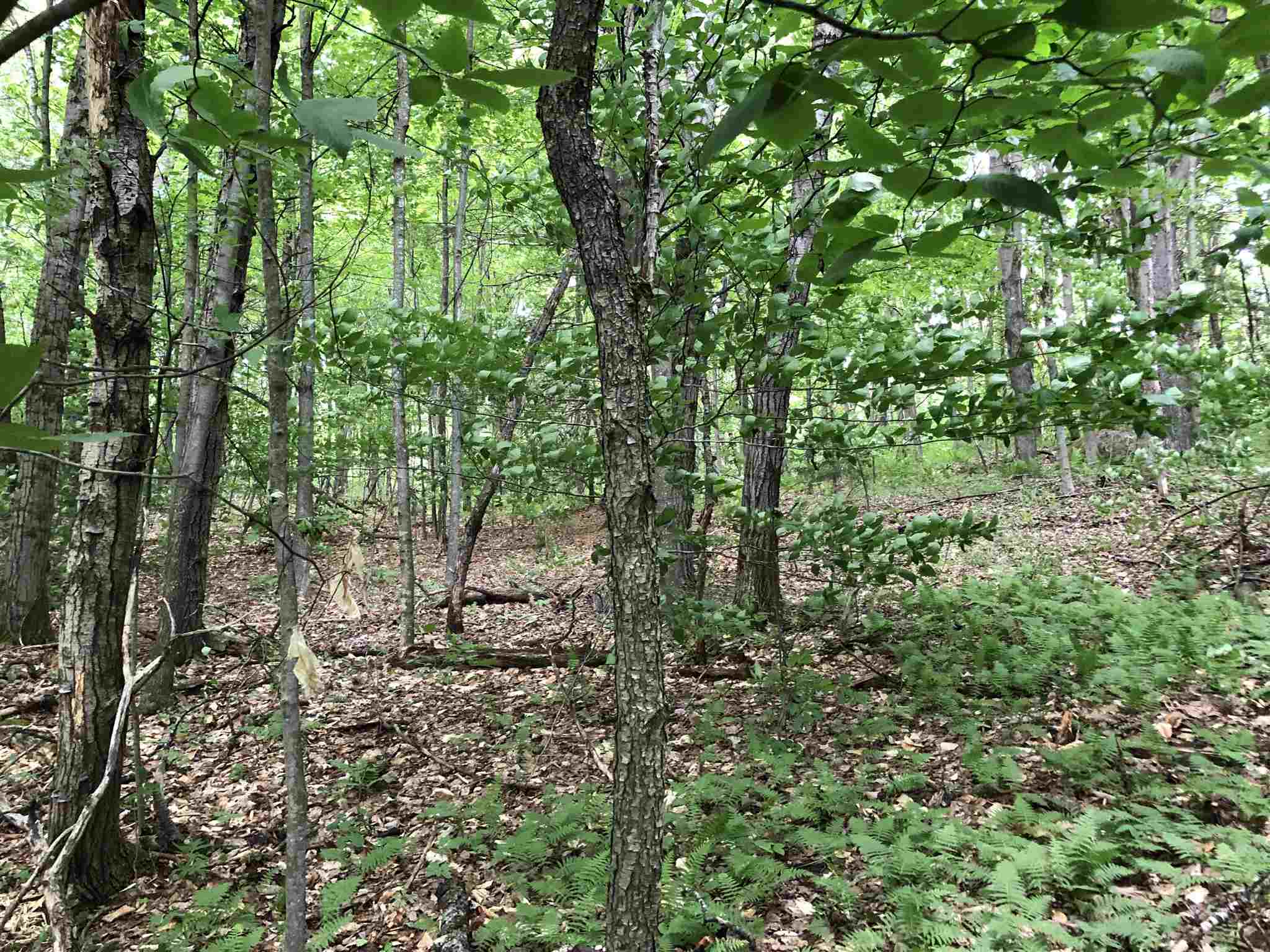 363 King Road, Unit LOT 2 Bakersfield, VT 05441 - Photo 11 of 15