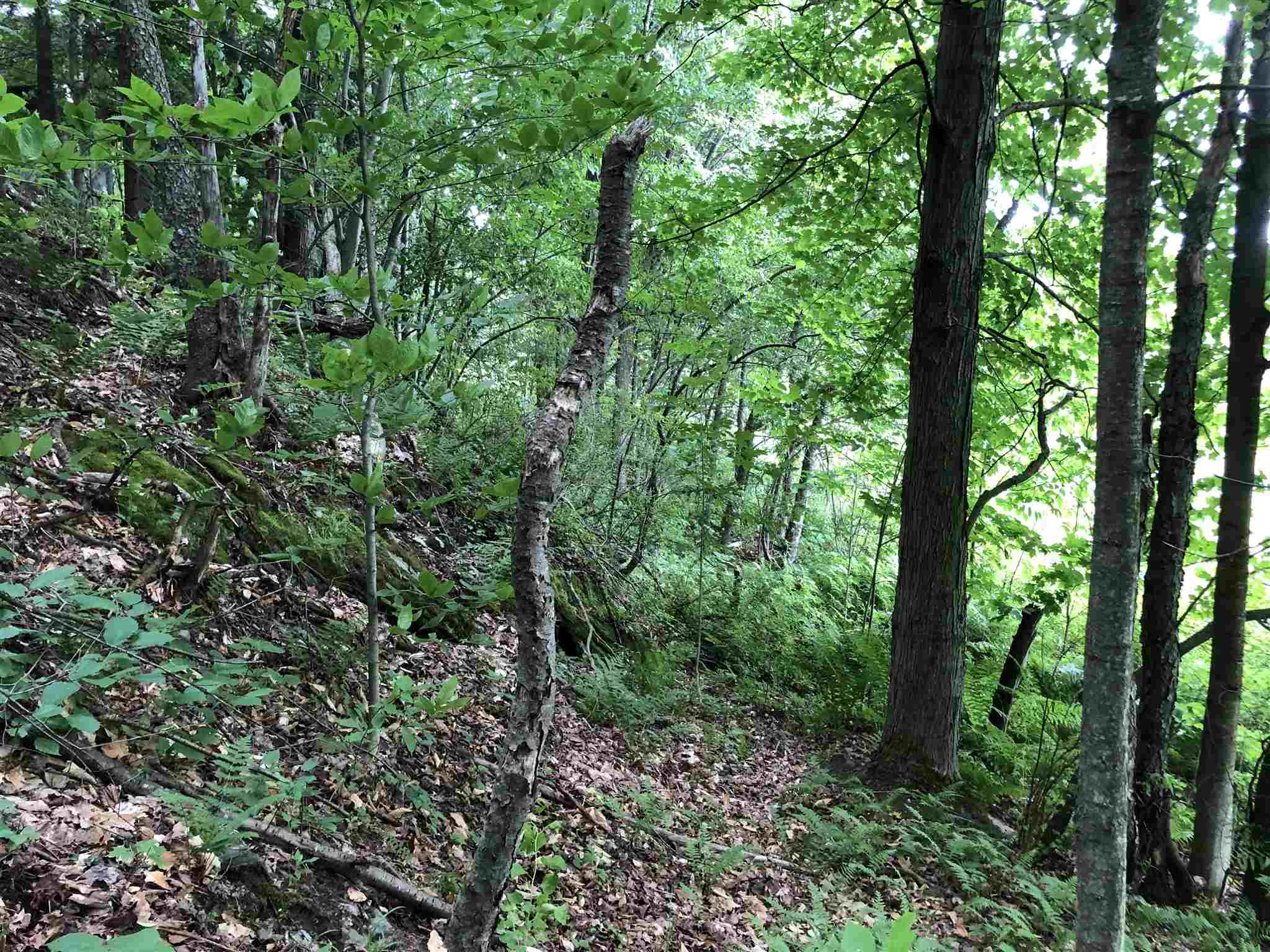 363 King Road, Unit LOT 2 Bakersfield, VT 05441 - Photo 12 of 15