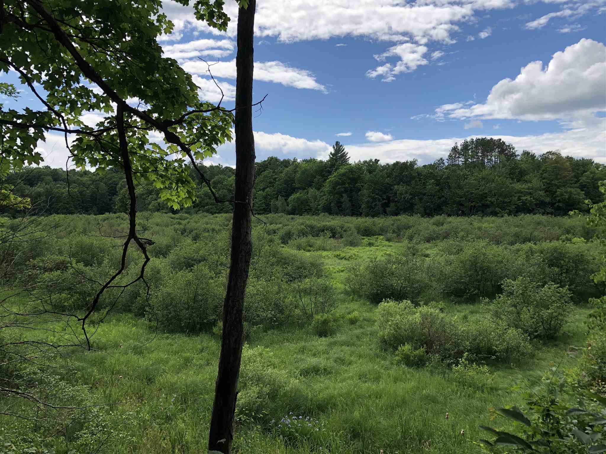 363 King Road, Unit LOT 2 Bakersfield, VT 05441 - Photo 5 of 15