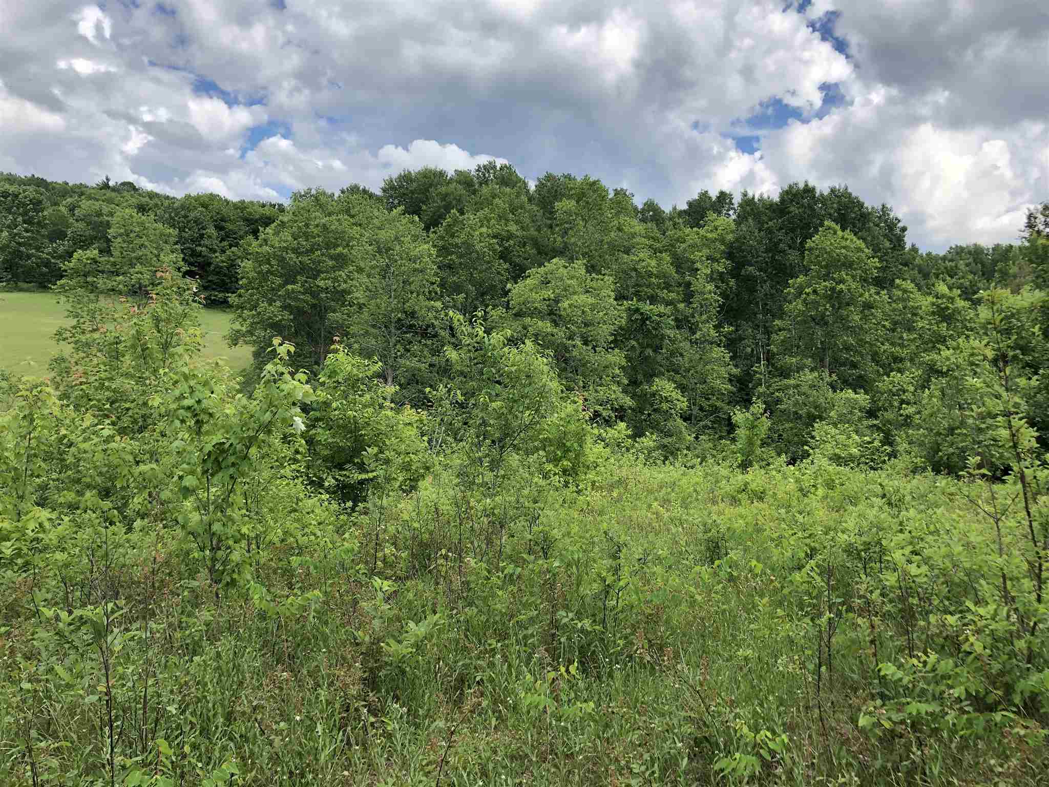 363 King Road, Unit LOT 2 Bakersfield, VT 05441 - Photo 6 of 15