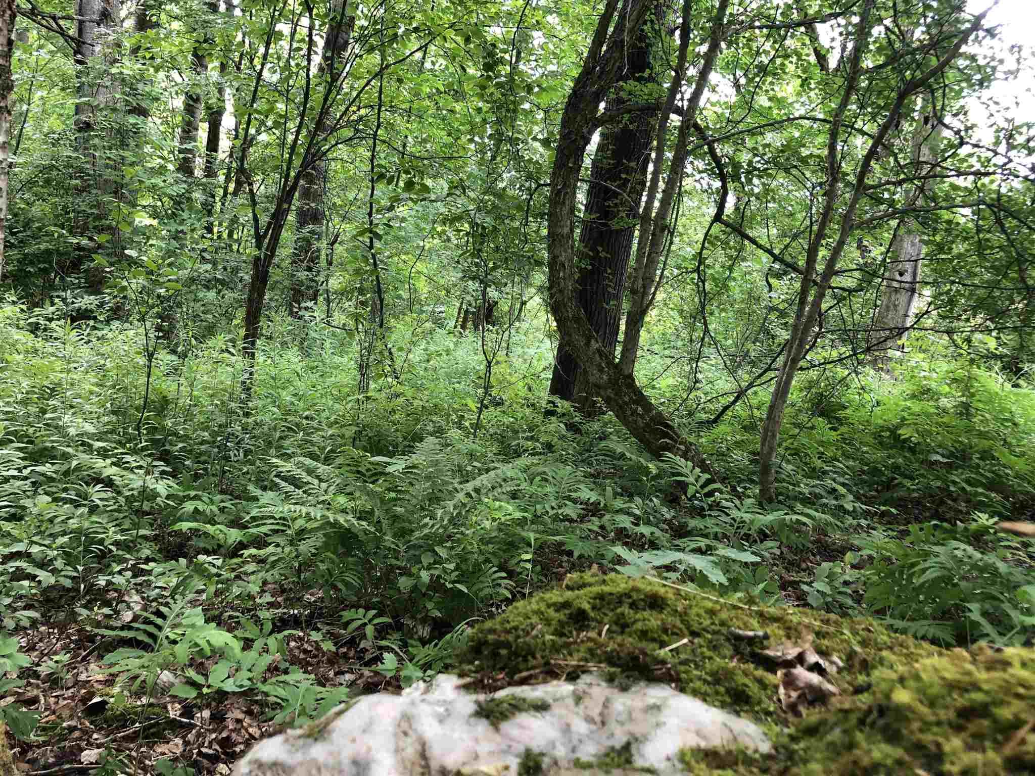 363 King Road, Unit LOT 2 Bakersfield, VT 05441 - Photo 10 of 15