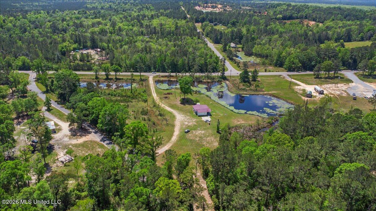 113 Clyde Pipkins Road Lucedale, MS 39452 - Photo 29 of 31 29-DJI_0323