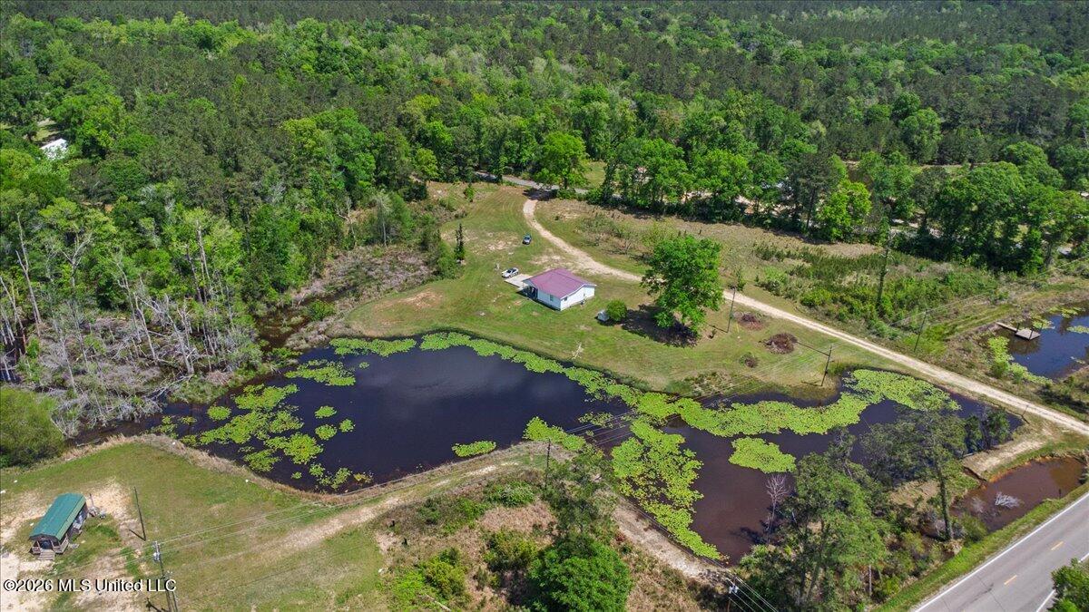113 Clyde Pipkins Road Lucedale, MS 39452 - Photo 31 of 31 31-DJI_0325