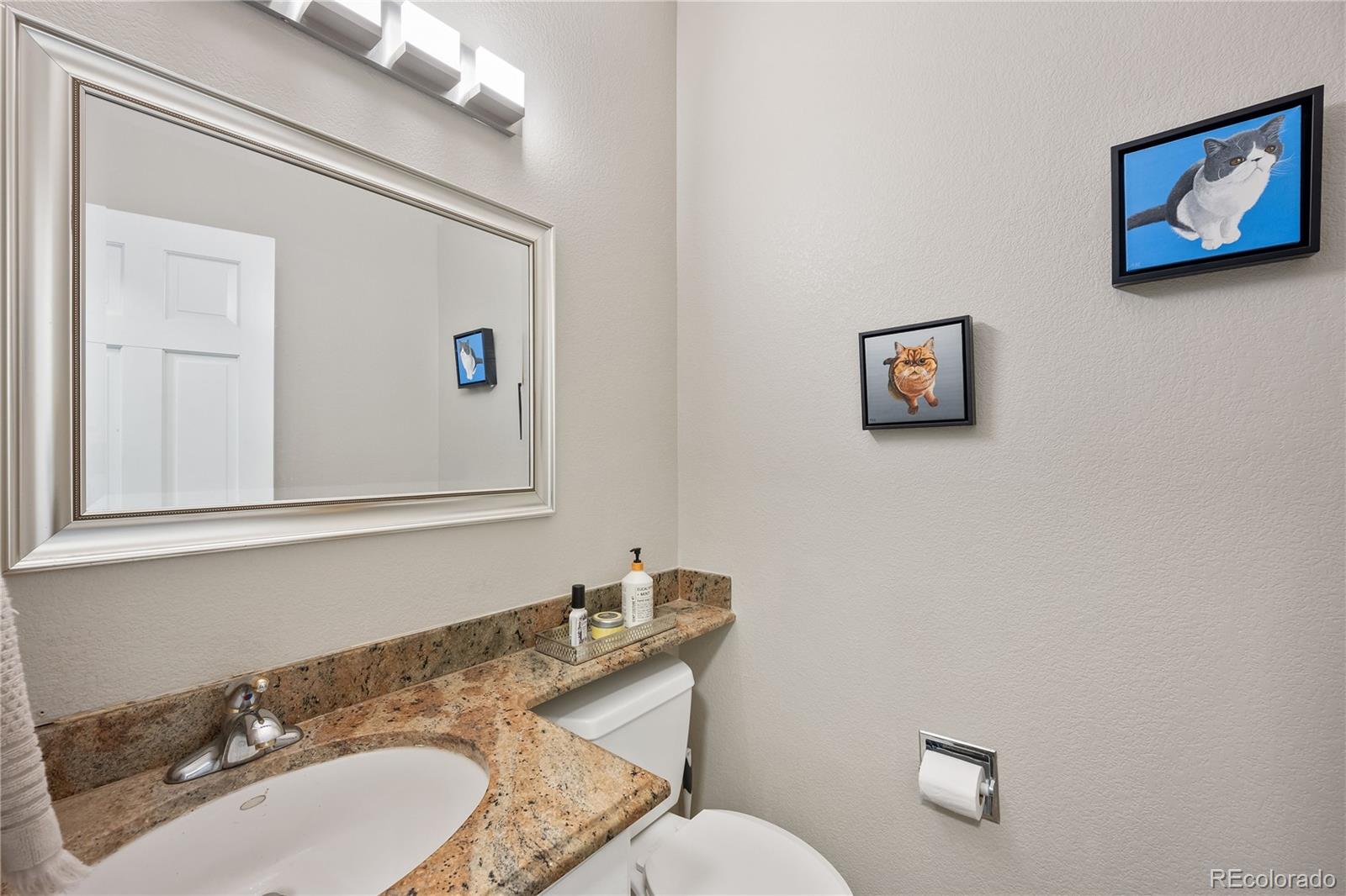 1201 Riddlewood Road Highlands Ranch, CO 80129 - Photo 13 of 36 a bathroom with a granite countertop sink mirror and toilet