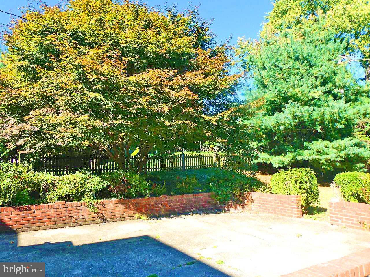 638 Yarmouth Road Towson, MD 21286 - Photo 4 of 23 Driveway