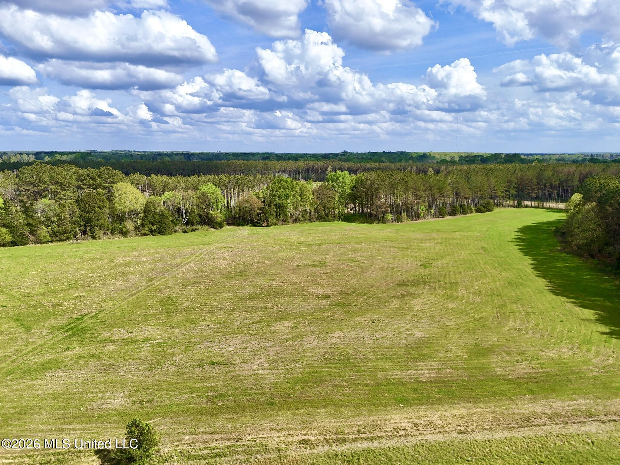 875 Stump Bridge Road Canton, MS 39046 - Photo 2 of 21 98B54B82-72CA-4D3E-9654-9DF9EC3B39DB_1_1