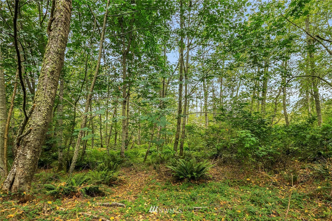 6109 Southwest Point Robinson Road Vashon, WA 98070 - Photo 24 of 25