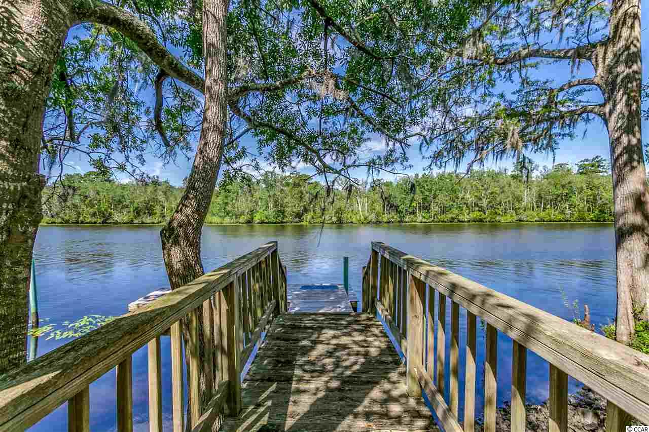 10643 Browns Ferry Road Georgetown, SC 29440 - Photo 3 of 38
