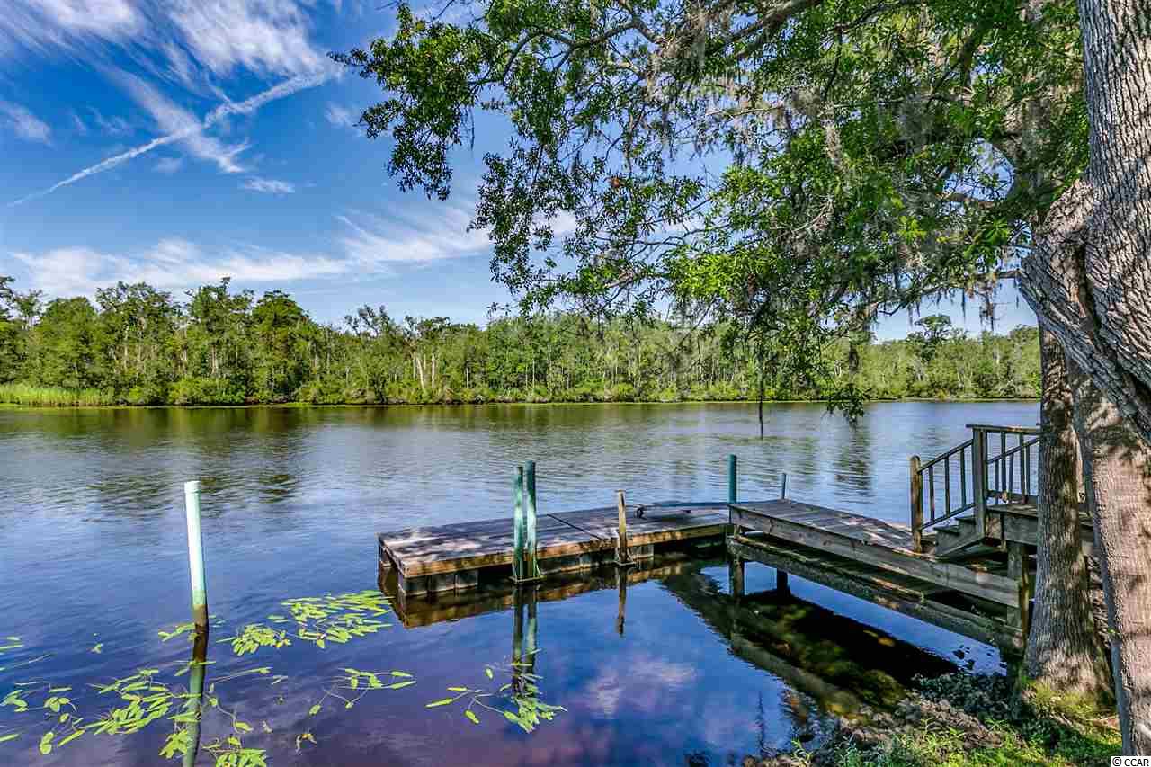 10643 Browns Ferry Road Georgetown, SC 29440 - Photo 28 of 38