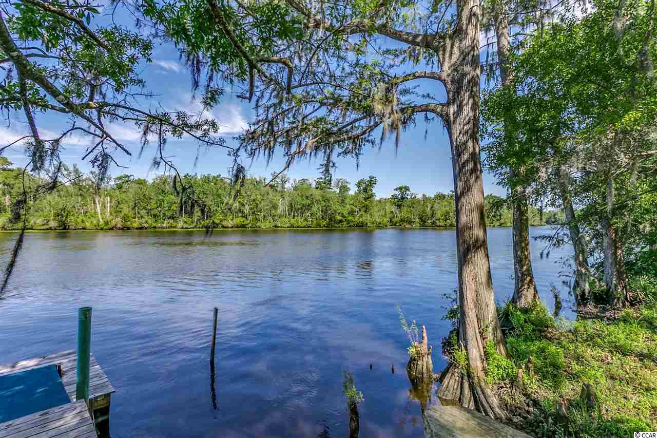 10643 Browns Ferry Road Georgetown, SC 29440 - Photo 30 of 38