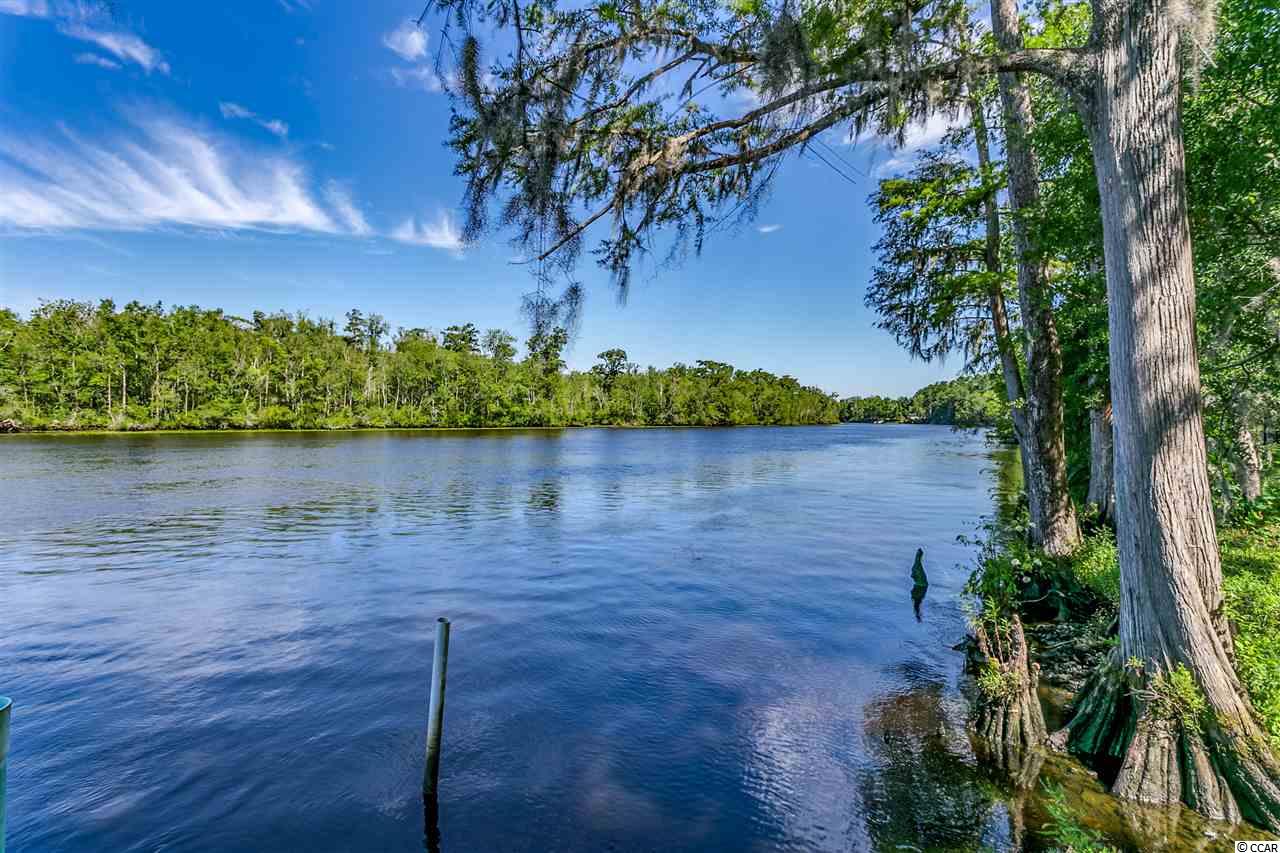 10643 Browns Ferry Road Georgetown, SC 29440 - Photo 6 of 38