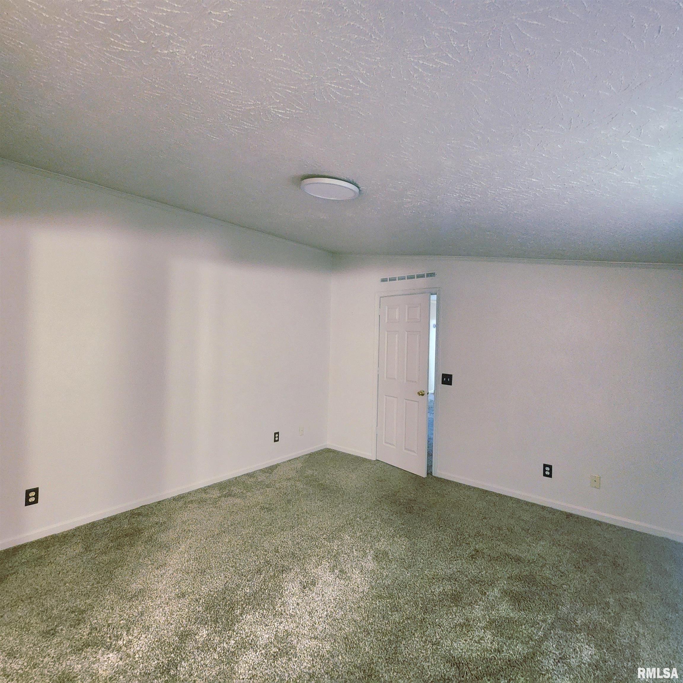 11744 Hafer Road Carterville, IL 62918 - Photo 16 of 20