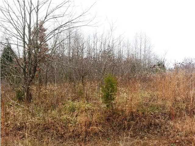 0 Tedrow Road Shoals, IN 47581 - Photo 2 of 13