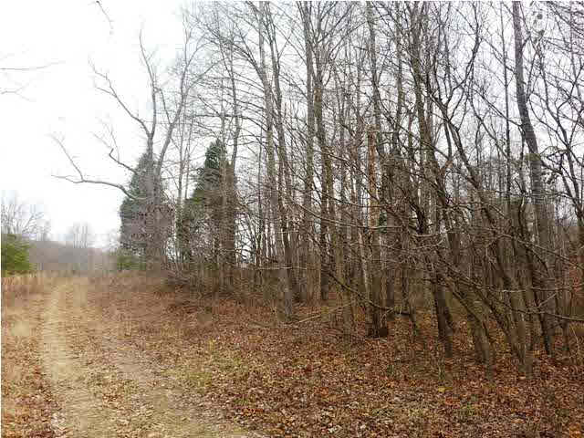 0 Tedrow Road Shoals, IN 47581 - Photo 12 of 13
