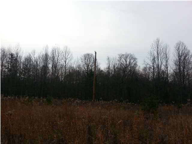 0 Tedrow Road Shoals, IN 47581 - Photo 13 of 13