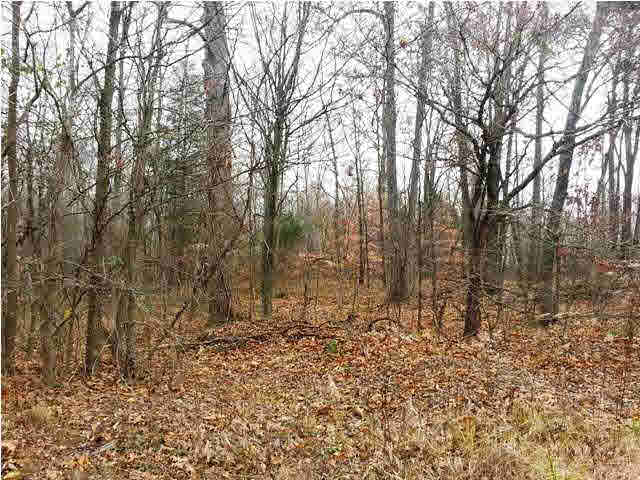 0 Tedrow Road Shoals, IN 47581 - Photo 5 of 13