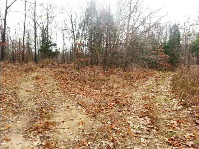 0 Tedrow Road Shoals, IN 47581 - Photo 6 of 13