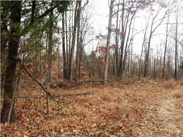 0 Tedrow Road Shoals, IN 47581 - Photo 7 of 13