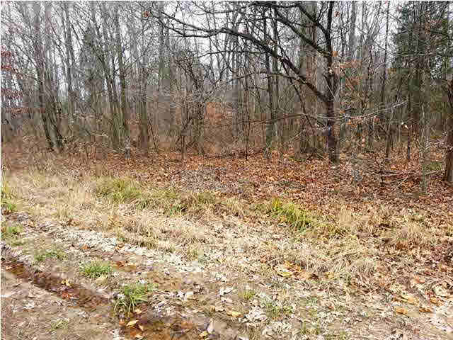 0 Tedrow Road Shoals, IN 47581 - Photo 10 of 13