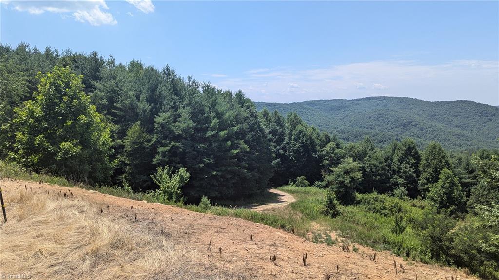 1501 Buckwheat Road McGrady, NC 28649 - Photo 11 of 50