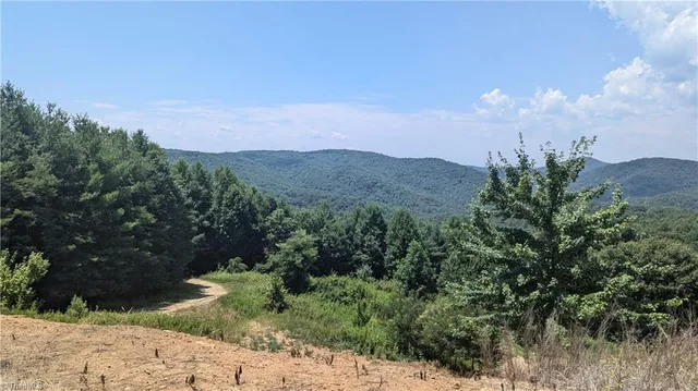 $1,327,600 | 1501 Buckwheat Road, McGrady, NC 28649