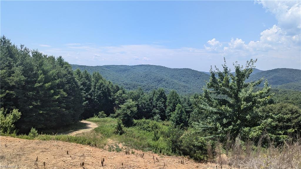 1501 Buckwheat Road McGrady, NC 28649 - Photo 12 of 50