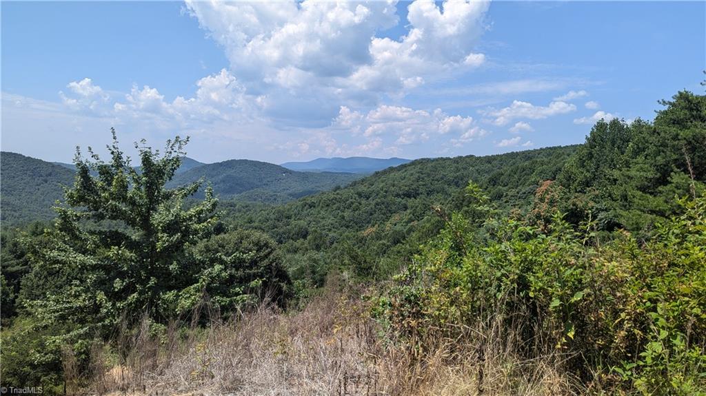 1501 Buckwheat Road McGrady, NC 28649 - Photo 13 of 50