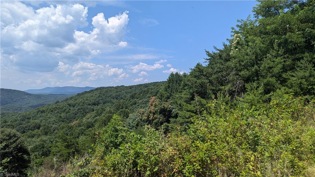 1501 Buckwheat Road McGrady, NC 28649 - Photo 14 of 50