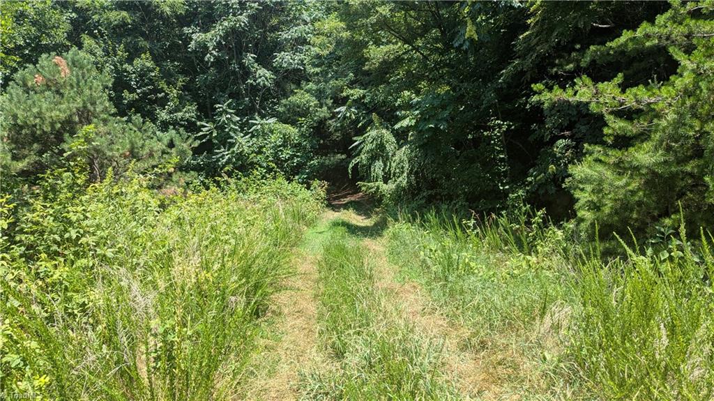 1501 Buckwheat Road McGrady, NC 28649 - Photo 16 of 50