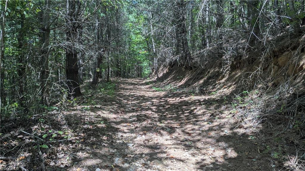 1501 Buckwheat Road McGrady, NC 28649 - Photo 17 of 50