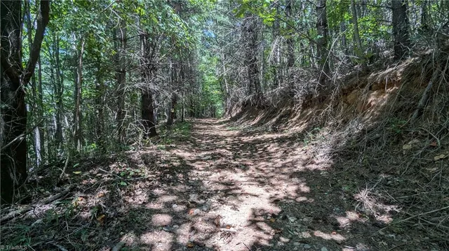 $1,327,600 | 1501 Buckwheat Road, McGrady, NC 28649