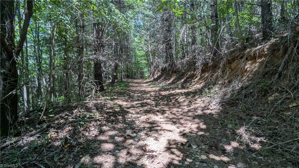 1501 Buckwheat Road McGrady, NC 28649 - Photo 18 of 50