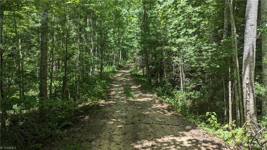 1501 Buckwheat Road McGrady, NC 28649 - Photo 20 of 50