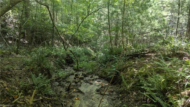 $1,327,600 | 1501 Buckwheat Road, McGrady, NC 28649