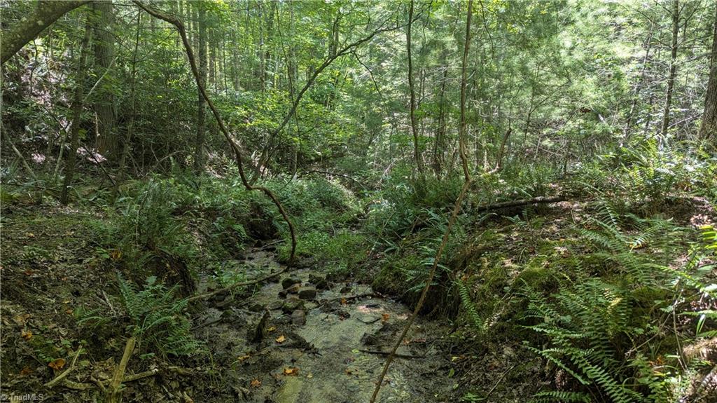 1501 Buckwheat Road McGrady, NC 28649 - Photo 23 of 50