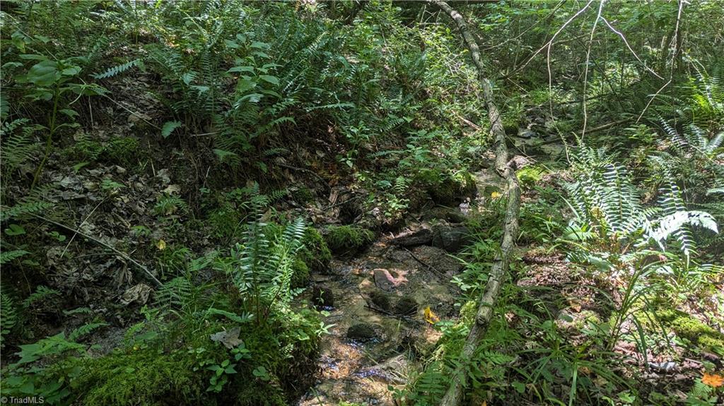 1501 Buckwheat Road McGrady, NC 28649 - Photo 24 of 50