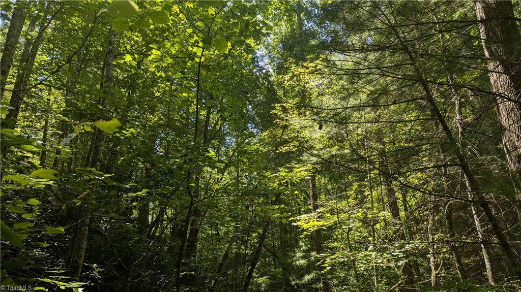 1501 Buckwheat Road McGrady, NC 28649 - Photo 28 of 50