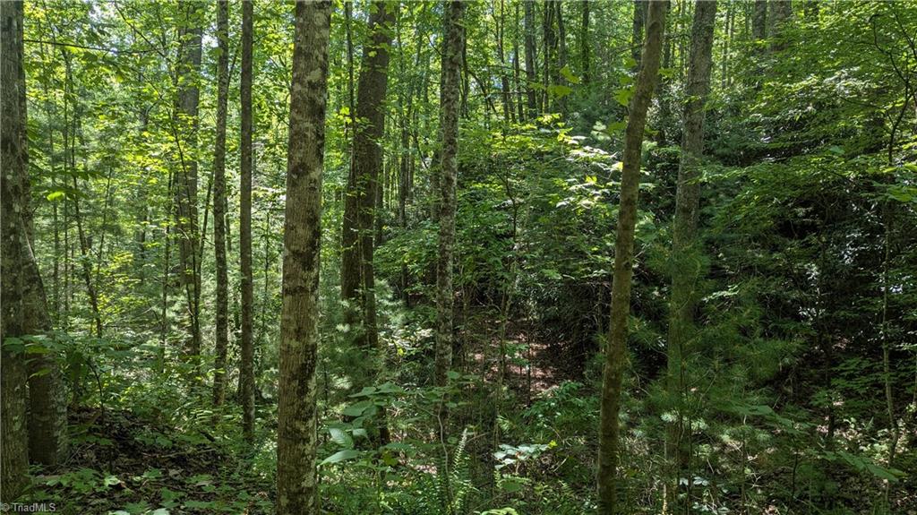 1501 Buckwheat Road McGrady, NC 28649 - Photo 29 of 50