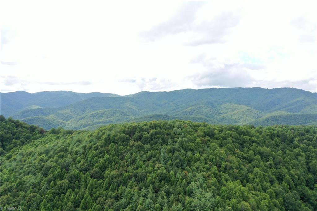 1501 Buckwheat Road McGrady, NC 28649 - Photo 3 of 50