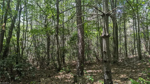 $1,327,600 | 1501 Buckwheat Road, McGrady, NC 28649